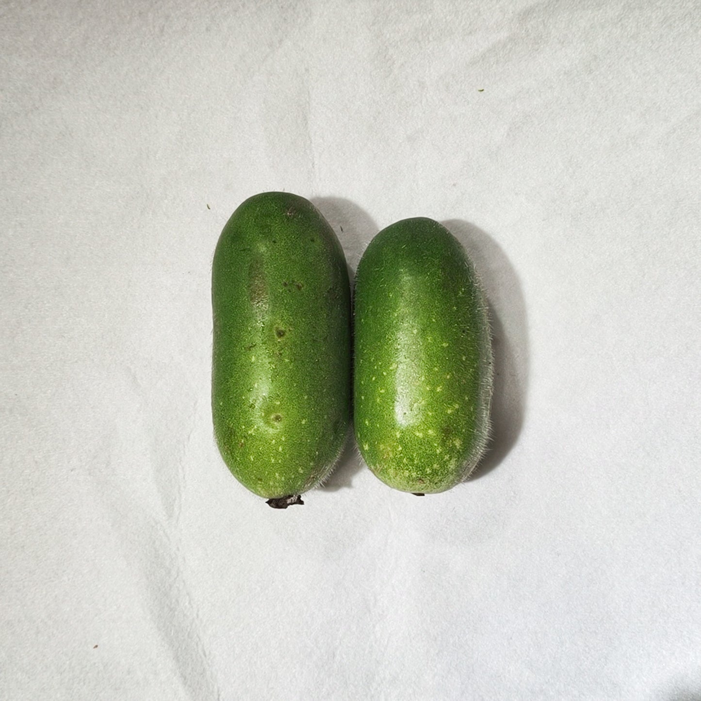 兩隻裝節瓜 Chieh Gwa, 2 Pieces Pack