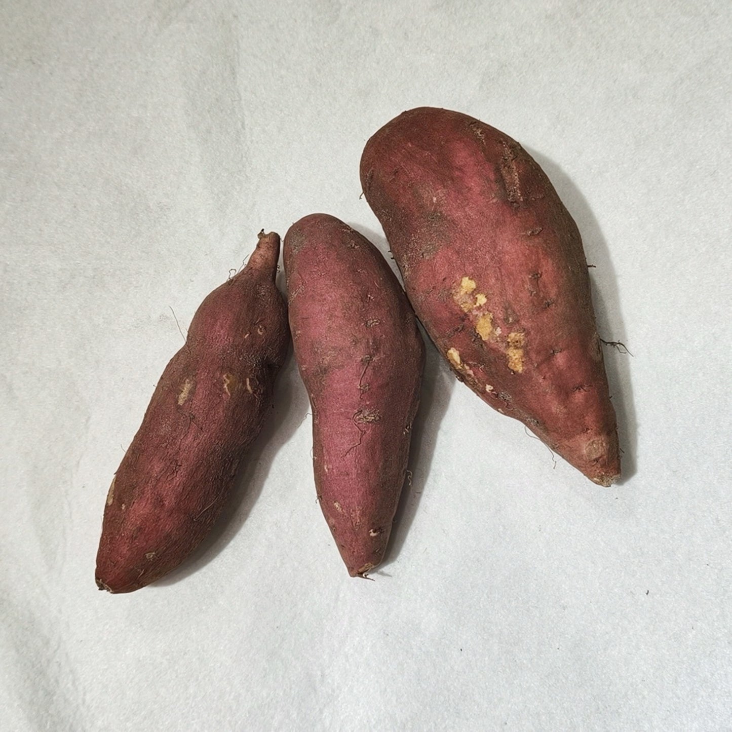 一斤裝板栗蕃薯 Chestnut Sweet Potatoes, 1 Catty Pack