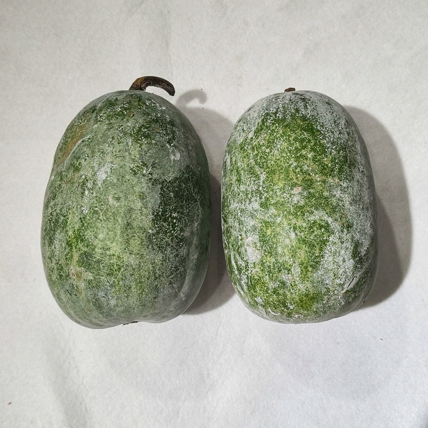 一隻裝翡翠冬瓜 Jade Winter Melon, 1 Piece Pack