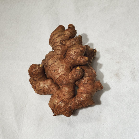 一斤裝泥薑 Mud Ginger, 1 Catty Pack