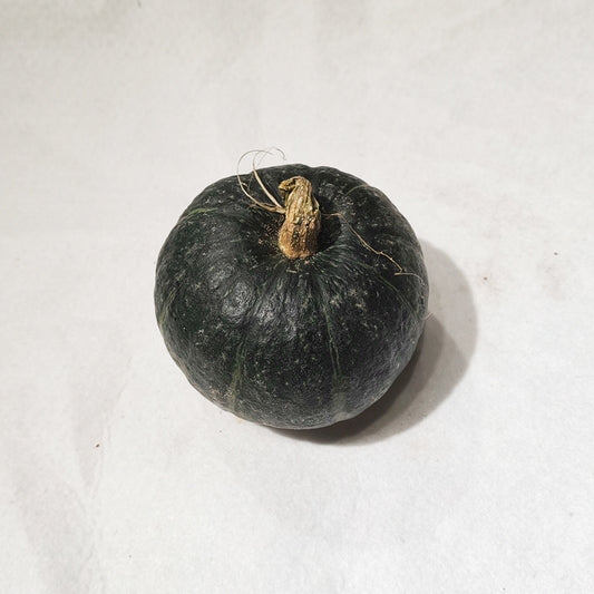 一隻裝貝貝南瓜 Baby Pumpkin，1 Piece Pack